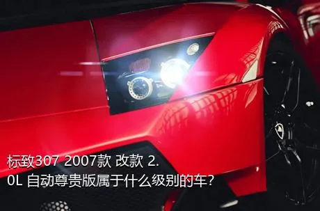 标致307 2007款 改款 2.0L 自动尊贵版属于什么级别的车？