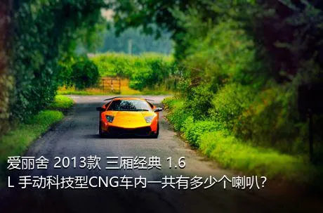 爱丽舍 2013款 三厢经典 1.6L 手动科技型CNG车内一共有多少个喇叭？