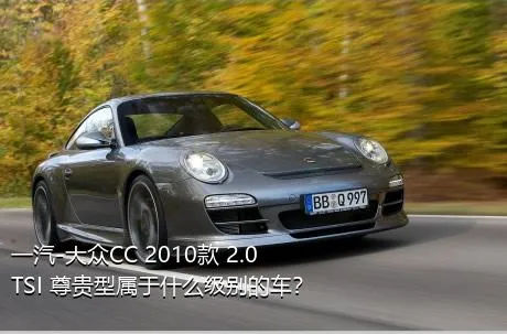 一汽-大众CC 2010款 2.0TSI 尊贵型属于什么级别的车？