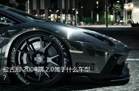 拉古那 2004款 2.0属于什么车型？