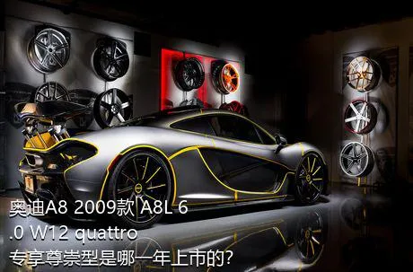 奥迪A8 2009款 A8L 6.0 W12 quattro 专享尊崇型是哪一年上市的？