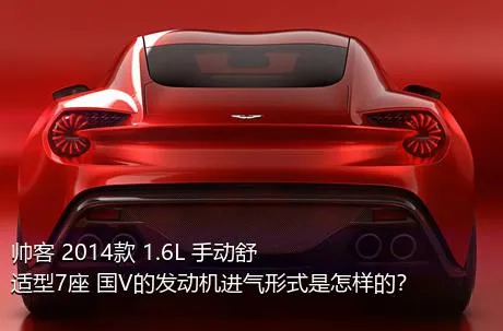 帅客 2014款 1.6L 手动舒适型7座 国V的发动机进气形式是怎样的？