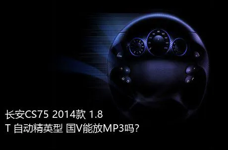 长安CS75 2014款 1.8T 自动精英型 国V能放MP3吗？