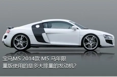 宝马M5 2014款 M5 马年限量版使用的是多大排量的发动机？