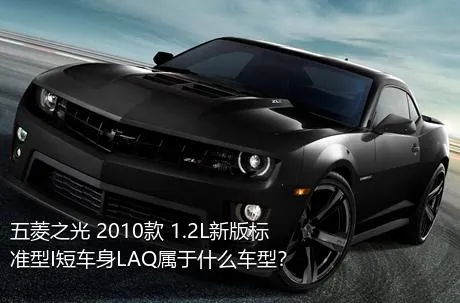 五菱之光 2010款 1.2L新版标准型I短车身LAQ属于什么车型？