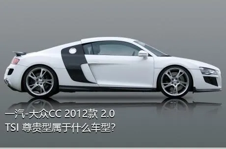 一汽-大众CC 2012款 2.0TSI 尊贵型属于什么车型？