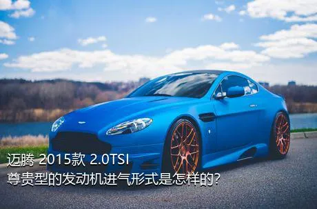 迈腾 2015款 2.0TSI 尊贵型的发动机进气形式是怎样的？