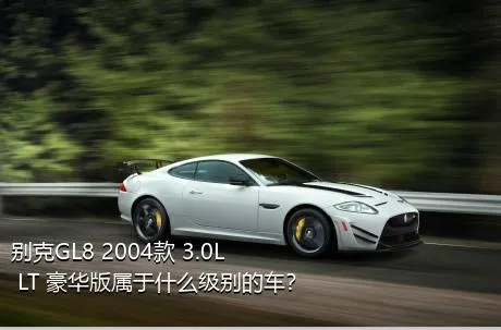 别克GL8 2004款 3.0L LT 豪华版属于什么级别的车？