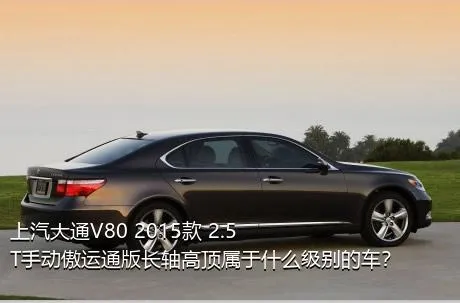 上汽大通V80 2015款 2.5T手动傲运通版长轴高顶属于什么级别的车？