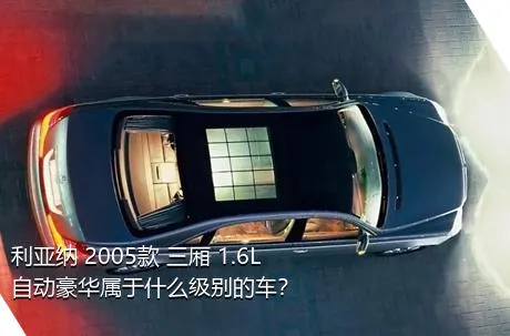 利亚纳 2005款 三厢 1.6L 自动豪华属于什么级别的车？