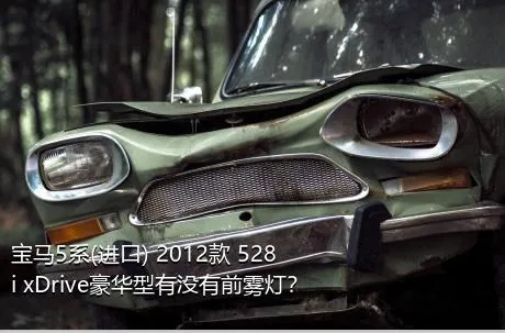 宝马5系(进口) 2012款 528i xDrive豪华型有没有前雾灯？