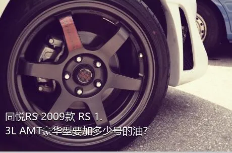 同悦RS 2009款 RS 1.3L AMT豪华型要加多少号的油？