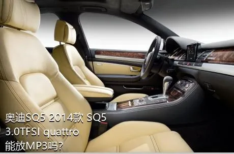 奥迪SQ5 2014款 SQ5 3.0TFSI quattro能放MP3吗？