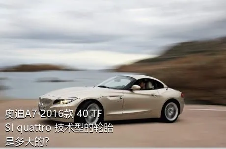 奥迪A7 2016款 40 TFSI quattro 技术型的轮胎是多大的？