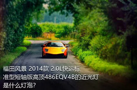 福田风景 2014款 2.0L快运标准型短轴版高顶486EQV4B的近光灯是什么灯泡？