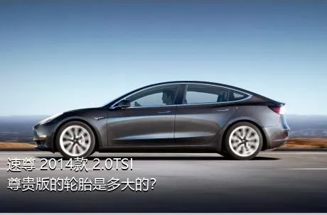 速尊 2014款 2.0TSI 尊贵版的轮胎是多大的？