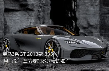 宝马3系GT 2013款 335i 风尚设计套装要加多少号的油？