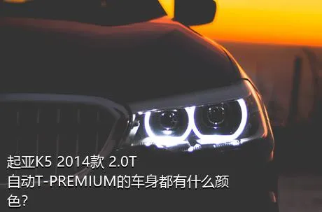 起亚K5 2014款 2.0T 自动T-PREMIUM的车身都有什么颜色？