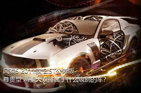 风骏5 2011款 2.5T公务版 尊贵型 两驱大双排属于什么级别的车？