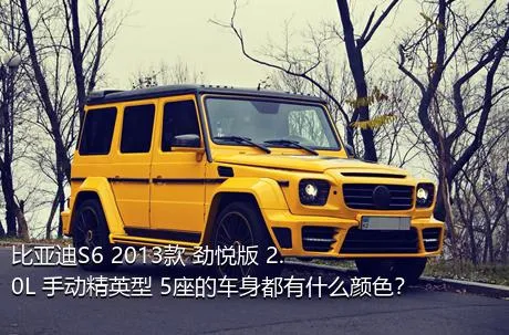 比亚迪S6 2013款 劲悦版 2.0L 手动精英型 5座的车身都有什么颜色？