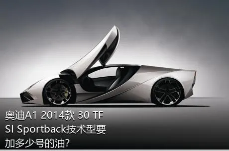 奥迪A1 2014款 30 TFSI Sportback技术型要加多少号的油？