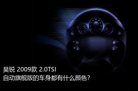 昊锐 2009款 2.0TSI 自动旗舰版的车身都有什么颜色？