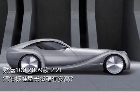 财运100 2009款 2.2L汽油标准型长货箱有多高？