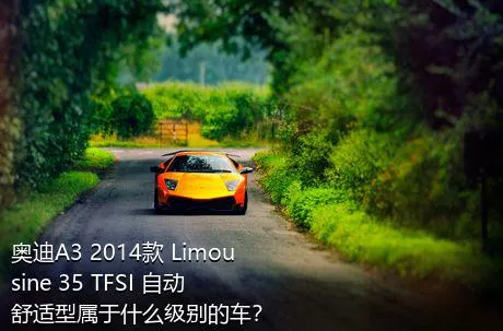 奥迪A3 2014款 Limousine 35 TFSI 自动舒适型属于什么级别的车？