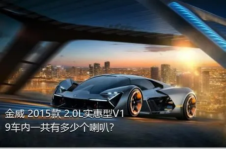 金威 2015款 2.0L实惠型V19车内一共有多少个喇叭？