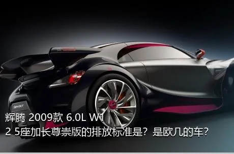 辉腾 2009款 6.0L W12 5座加长尊崇版的排放标准是？是欧几的车？