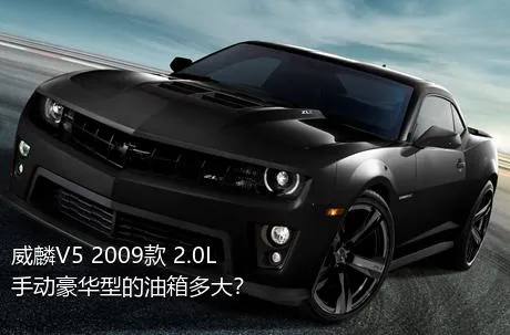 威麟V5 2009款 2.0L 手动豪华型的油箱多大？