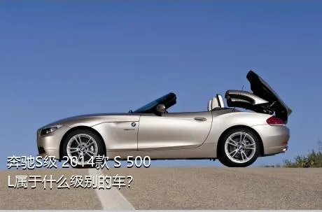 奔驰S级 2014款 S 500 L属于什么级别的车？