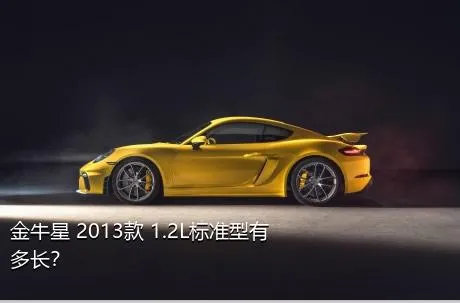 金牛星 2013款 1.2L标准型有多长？