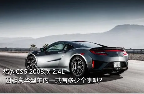 猎豹CS6 2008款 2.4L 四驱豪华型车内一共有多少个喇叭？