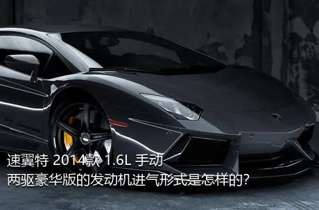 速翼特 2014款 1.6L 手动两驱豪华版的发动机进气形式是怎样的？