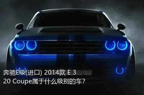 奔驰E级(进口) 2014款 E 320 Coupe属于什么级别的车？