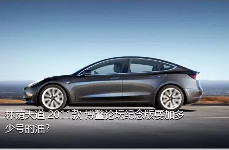 林荫大道 2011款 博鳌论坛纪念版要加多少号的油？