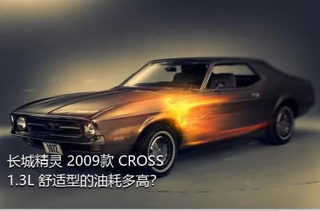 长城精灵 2009款 CROSS 1.3L 舒适型的油耗多高？