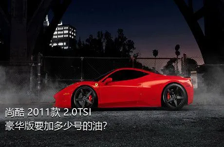 尚酷 2011款 2.0TSI 豪华版要加多少号的油？