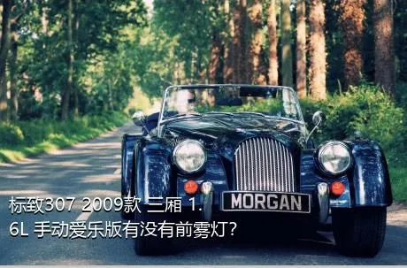 标致307 2009款 三厢 1.6L 手动爱乐版有没有前雾灯？