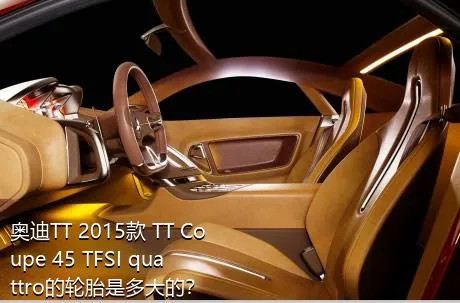 奥迪TT 2015款 TT Coupe 45 TFSI quattro的轮胎是多大的？