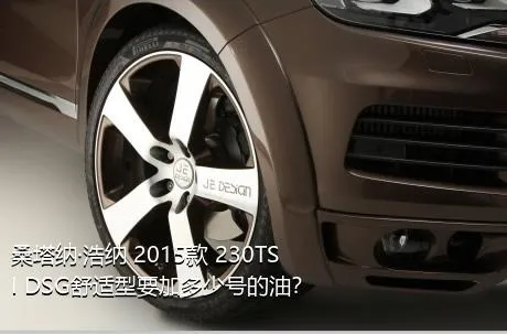 桑塔纳·浩纳 2015款 230TSI DSG舒适型要加多少号的油？