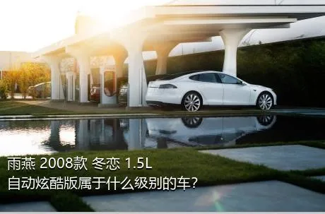 雨燕 2008款 冬恋 1.5L 自动炫酷版属于什么级别的车？