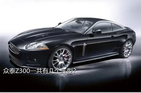 众泰Z300一共有几个车型？