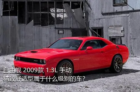 自由舰 2009款 1.3L 手动精致舒适型属于什么级别的车？