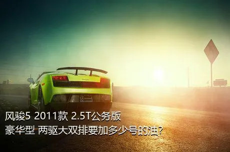 风骏5 2011款 2.5T公务版 豪华型 两驱大双排要加多少号的油？