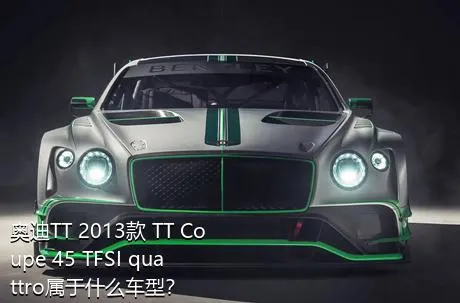 奥迪TT 2013款 TT Coupe 45 TFSI quattro属于什么车型？