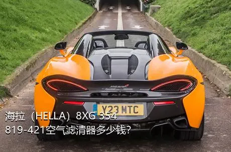 海拉（HELLA）8XG 354 819-421空气滤清器多少钱？