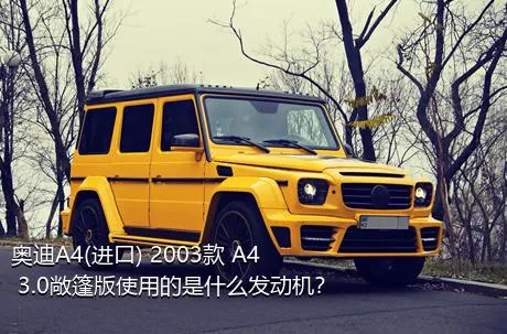 奥迪A4(进口) 2003款 A4 3.0敞篷版使用的是什么发动机？