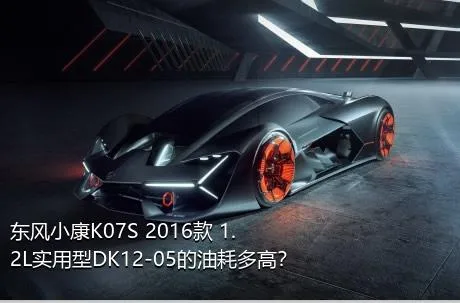 东风小康K07S 2016款 1.2L实用型DK12-05的油耗多高？